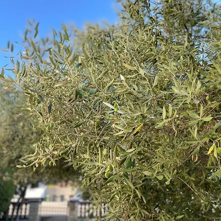 Jadro Διαμέρισμα *